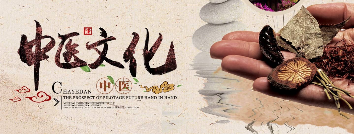 HealthONO — Balance Your Body and Mind Naturally